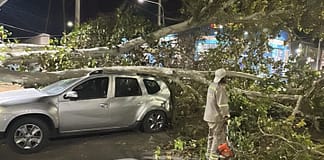 Más de 50 intervenciones por el el viento en San Juan